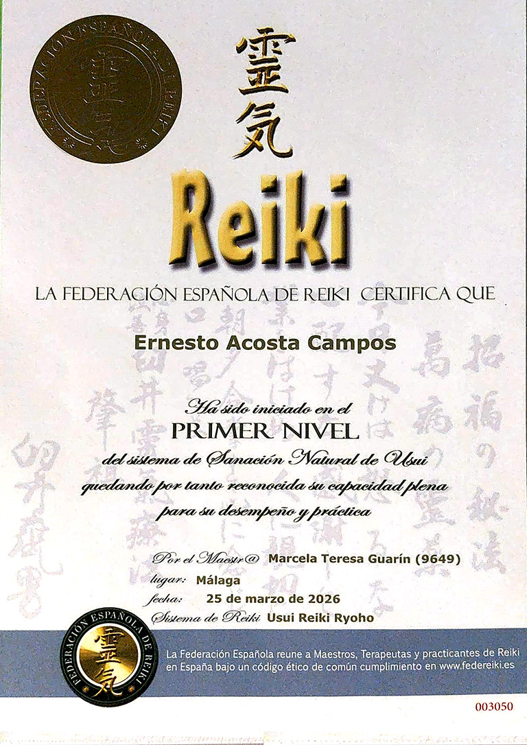 diploma reiki primer nivel